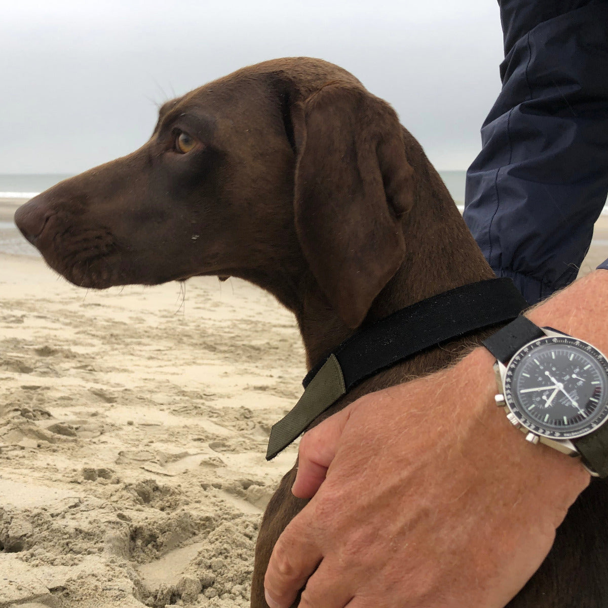 Truebuddies at the Sea