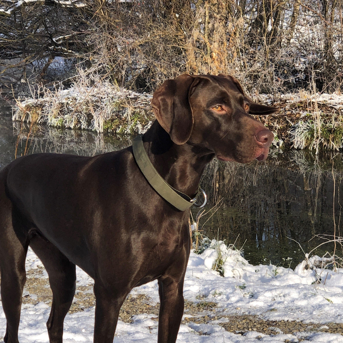 Truebuddies testing bavarian winter