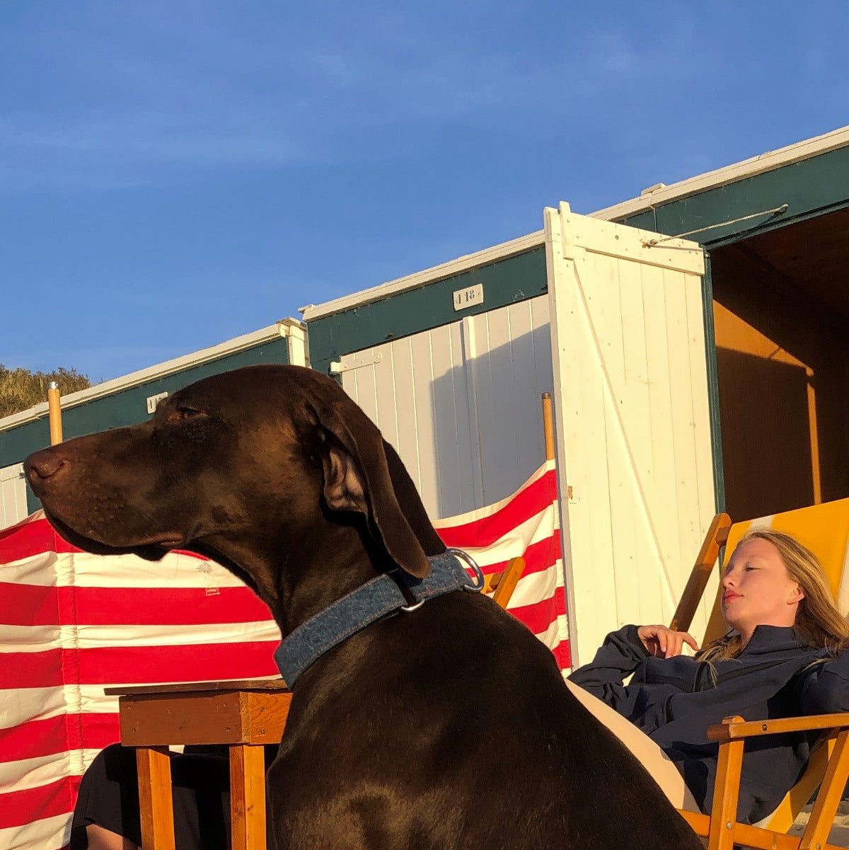 summertime TrueBuddies by the sea