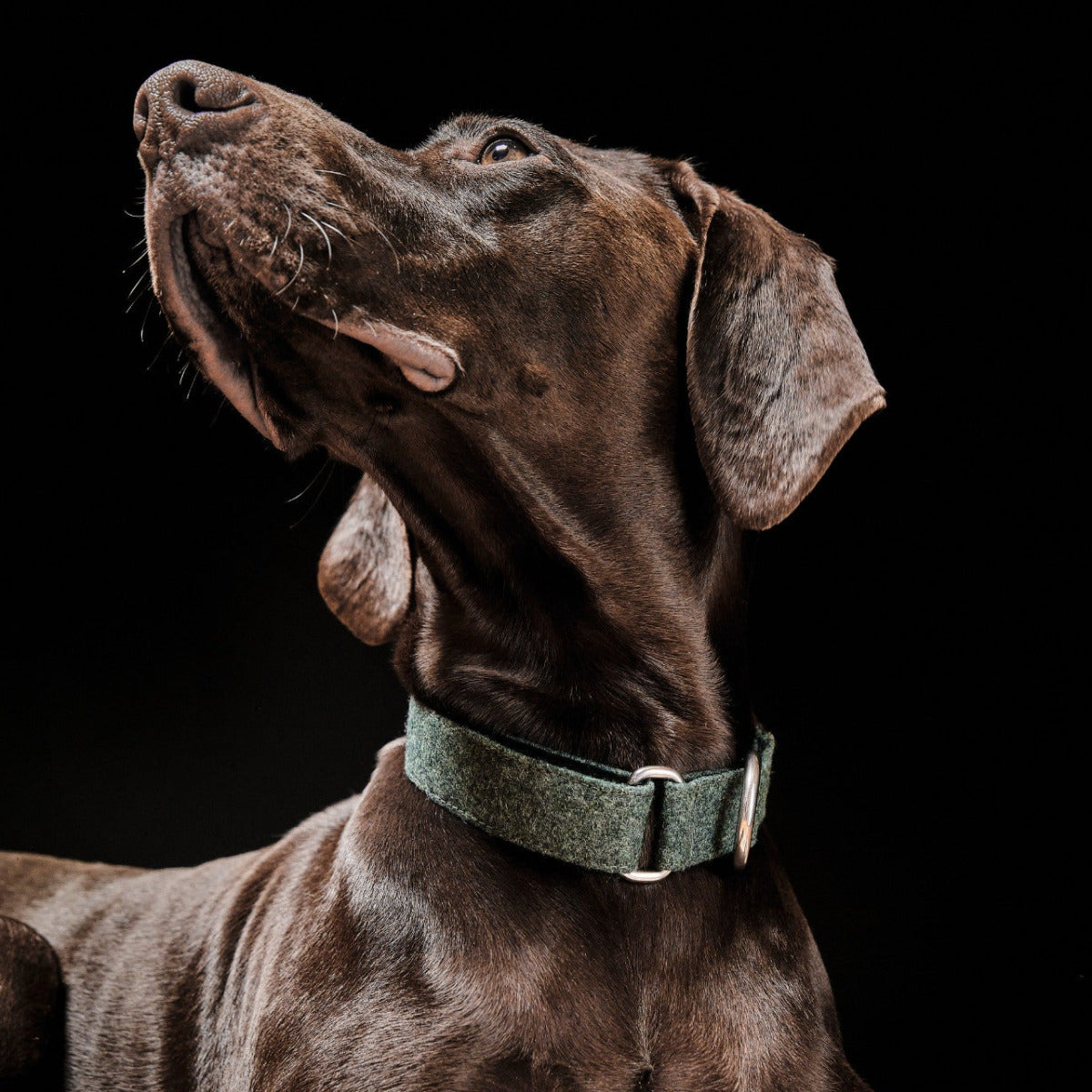upcycled swiss military jacket collar TrueBuddies Luna