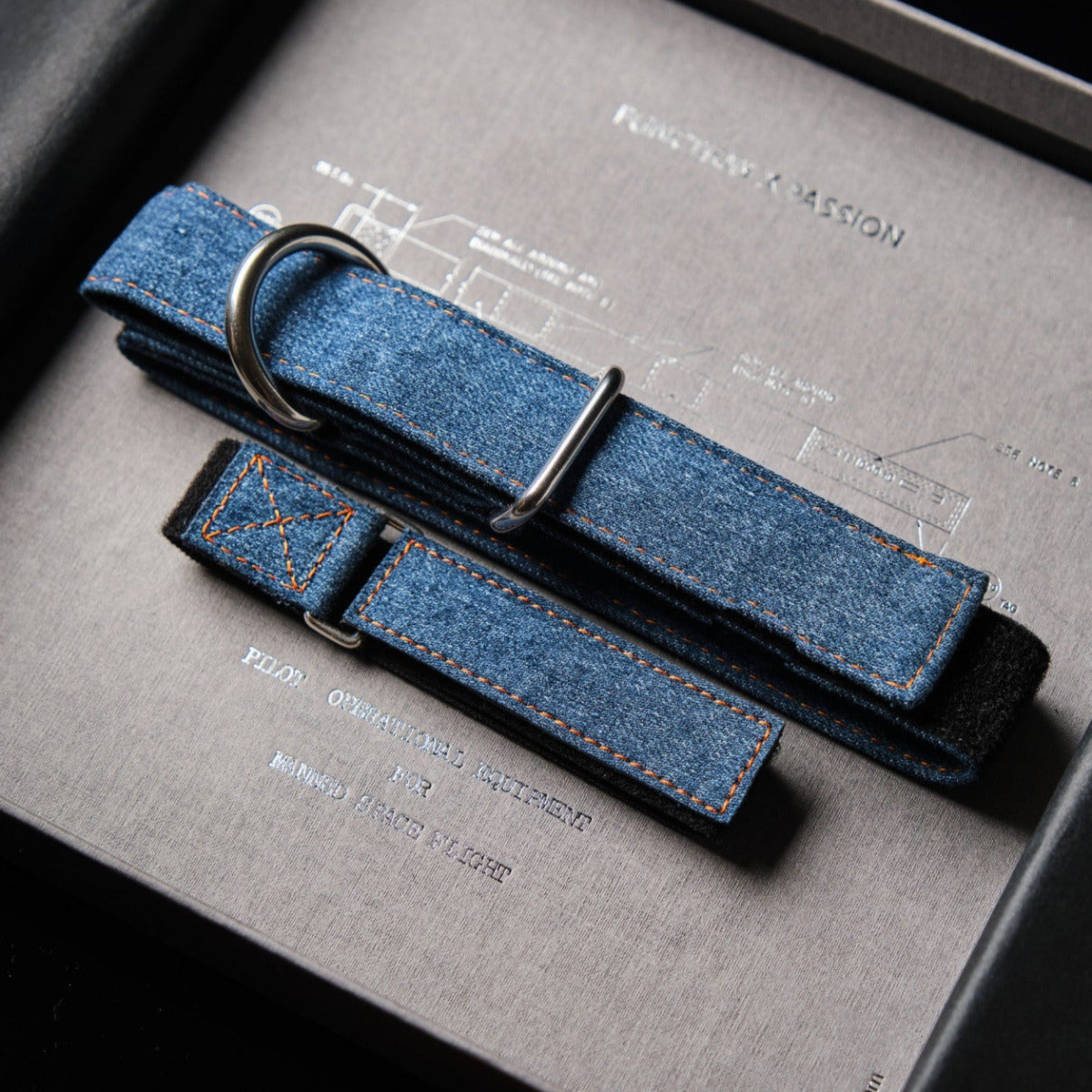 TrueBuddies denim strap and collar