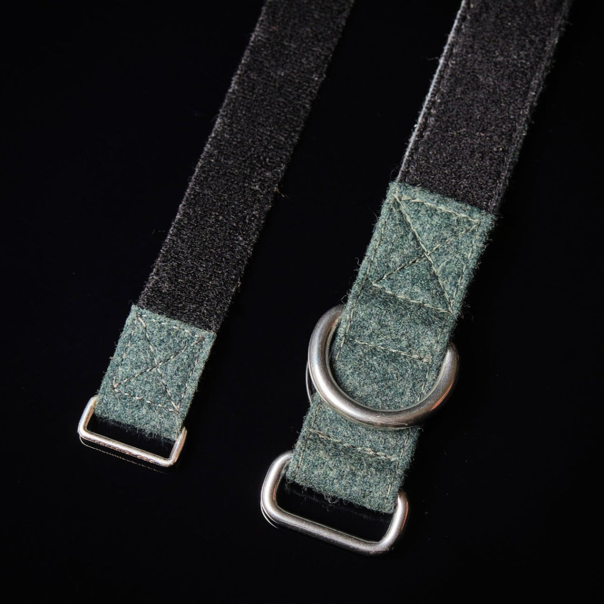 truebuddies collar and strap