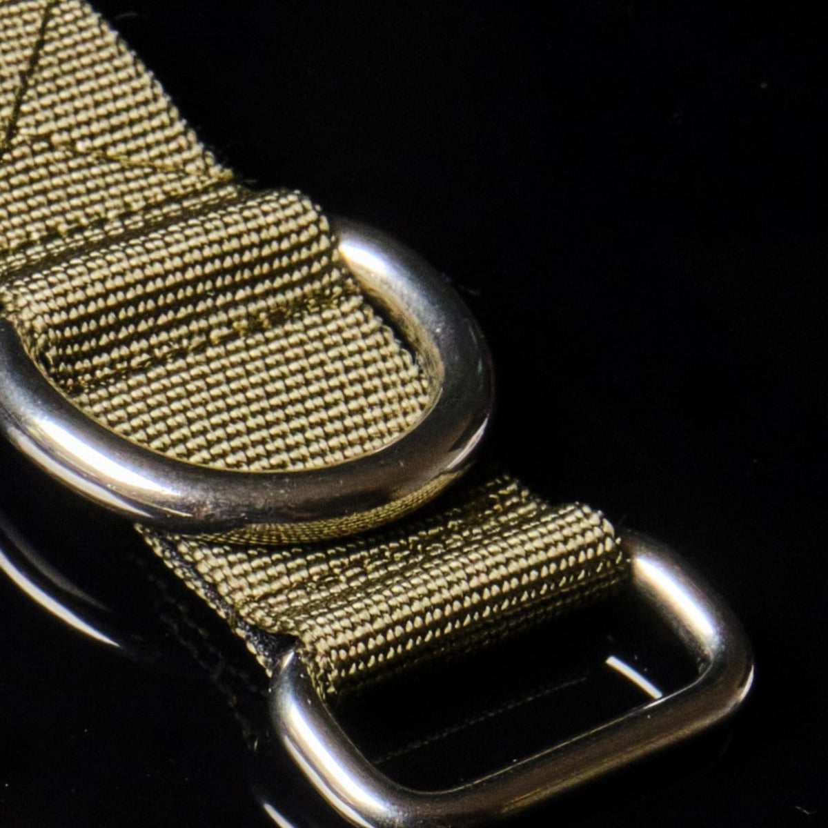 TrueBuddies Dog Collar by Weltmann Munich